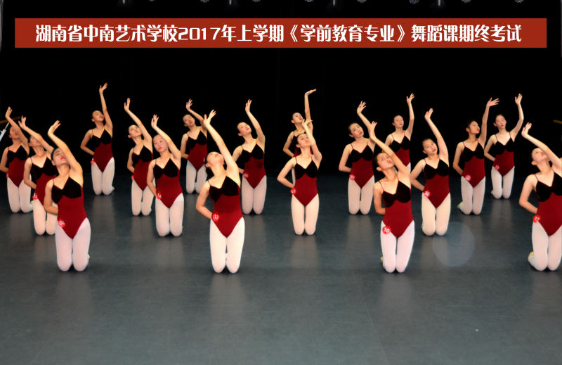 湖南省中南艺术学校开设的专业有哪些？