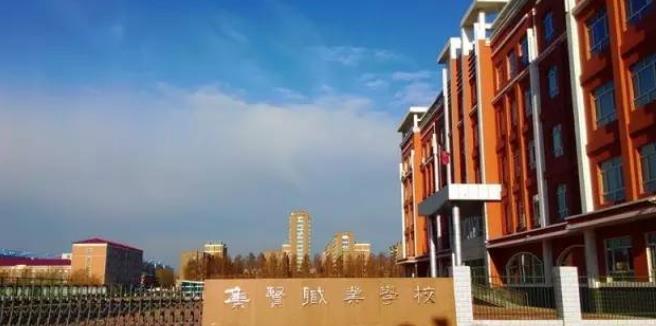 黑龙江双鸭山市有哪些中职学校？
